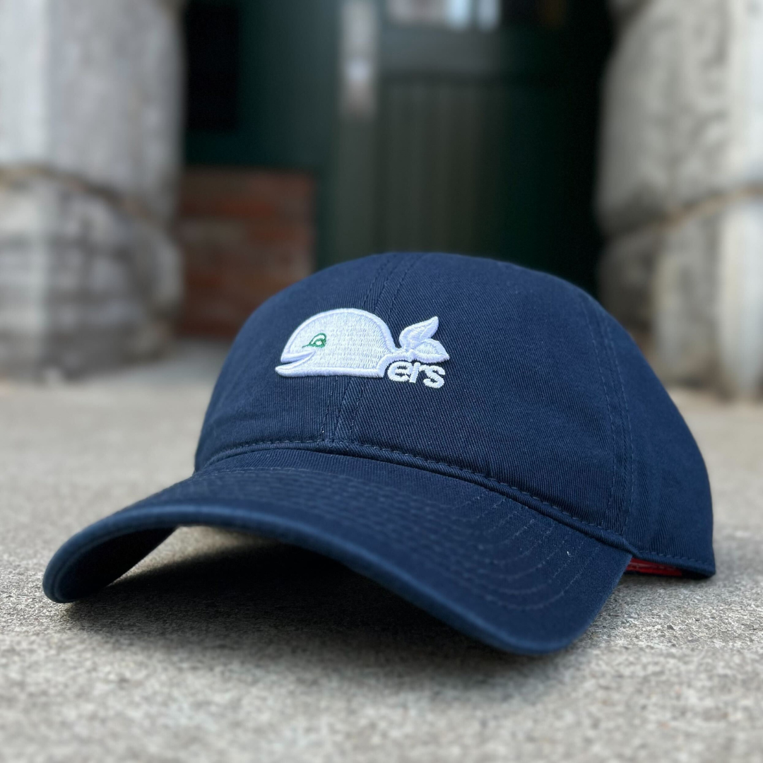 Hartford Whalers NHL Blue Line Hat (Pucky logo) – The Sport Gallery