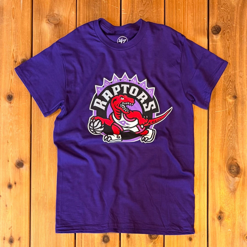 The Best Toronto Raptors Retro Jerseys, Hats, Tees, and Gifts – The ...