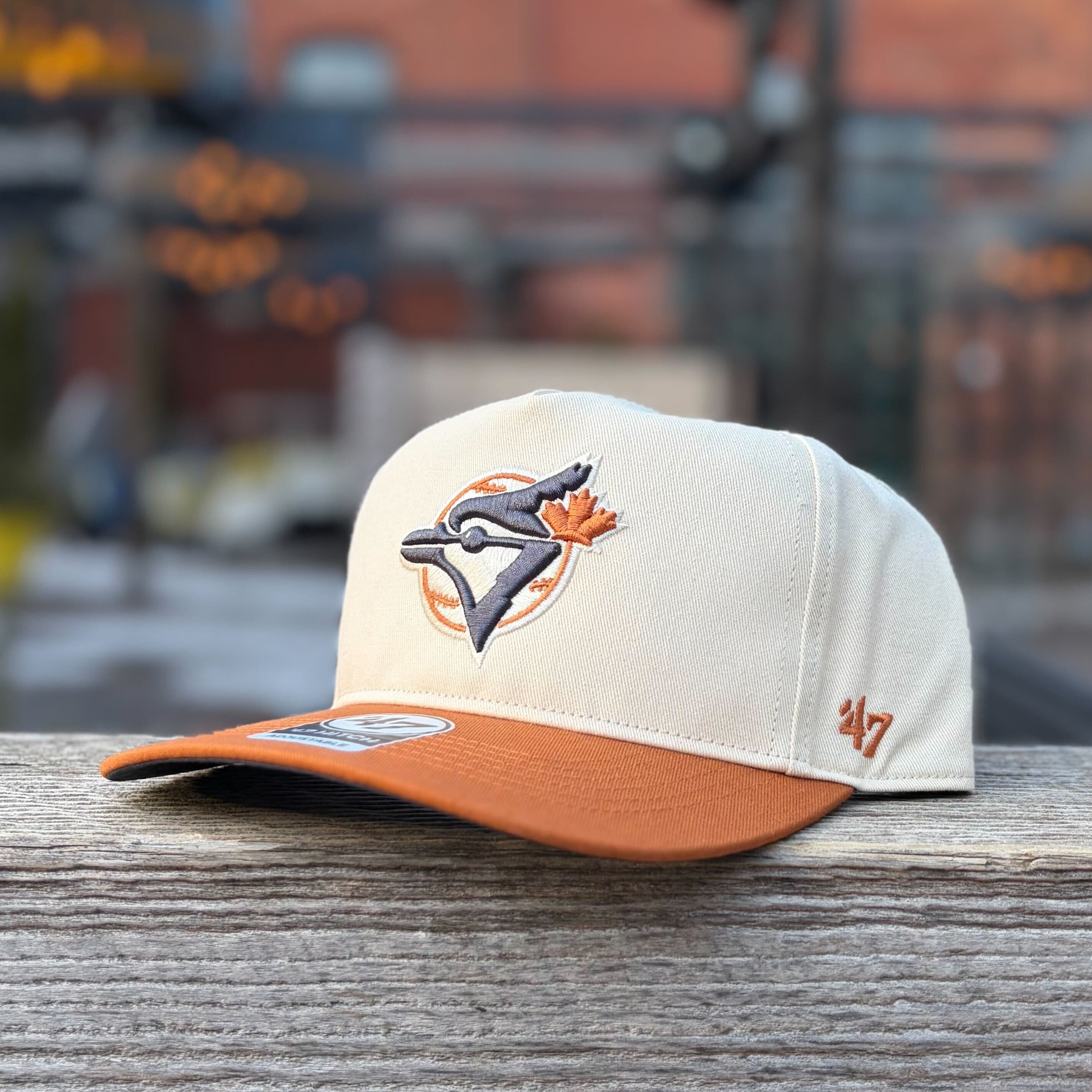 Toronto Blue Jays MLB '77 Retro Sunset Hitch Hat – The Sport Gallery