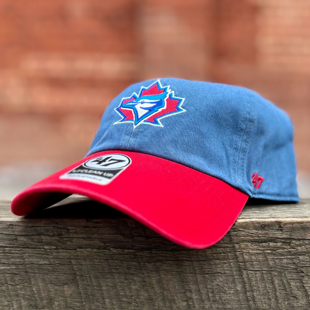 Toronto Blue Jays Retro Fitted Dad Fat – The Sport Gallery