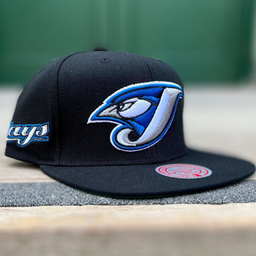 Toronto Blue Jays MLB (Black) Evergreen Coop 2004 Logo Snapback