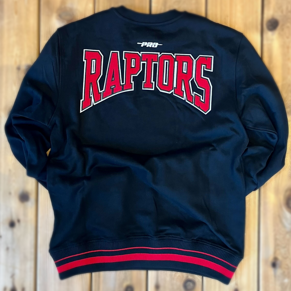 Vintage Toronto RAPTORS Pullover Jacket by STARTER / Old Logo 