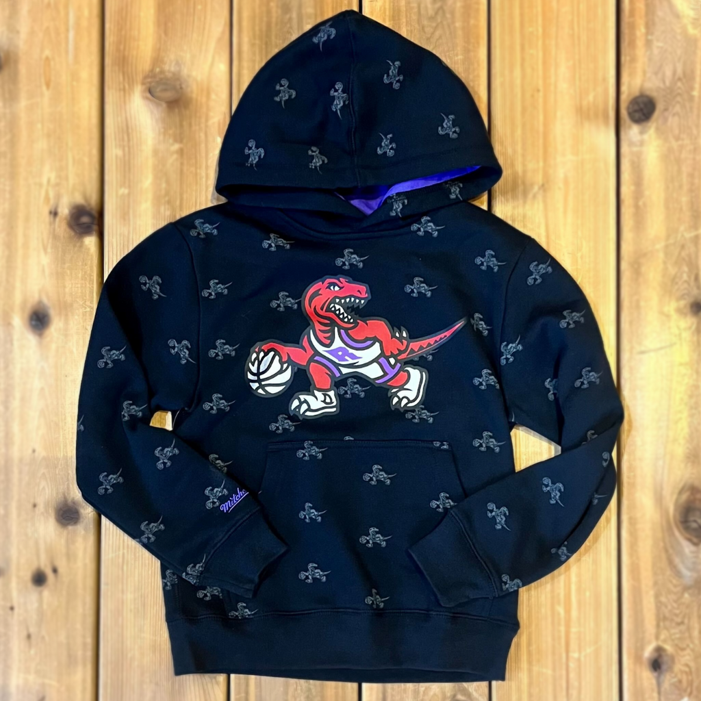 Retro 2024 raptors hoodie