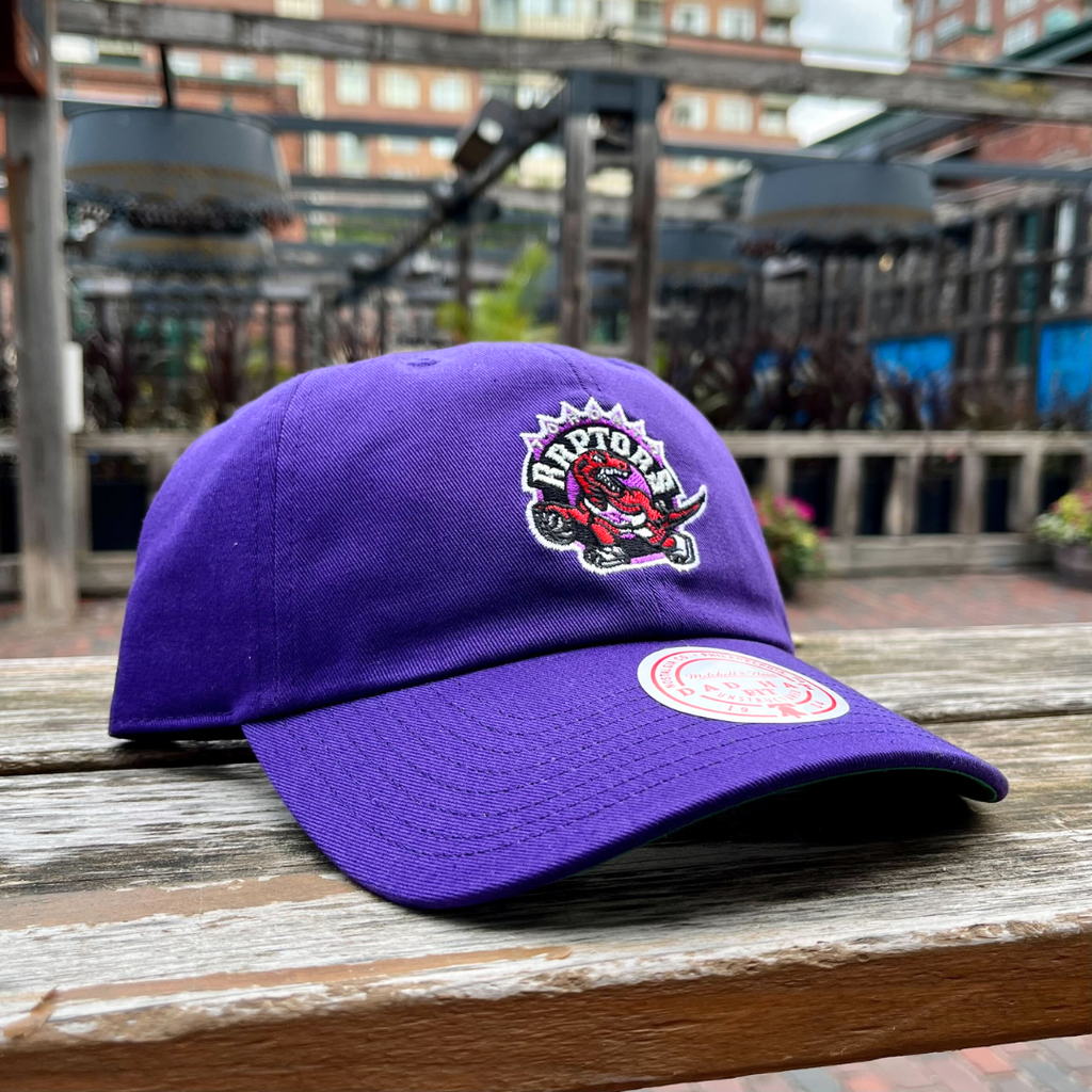 Raptors cap online