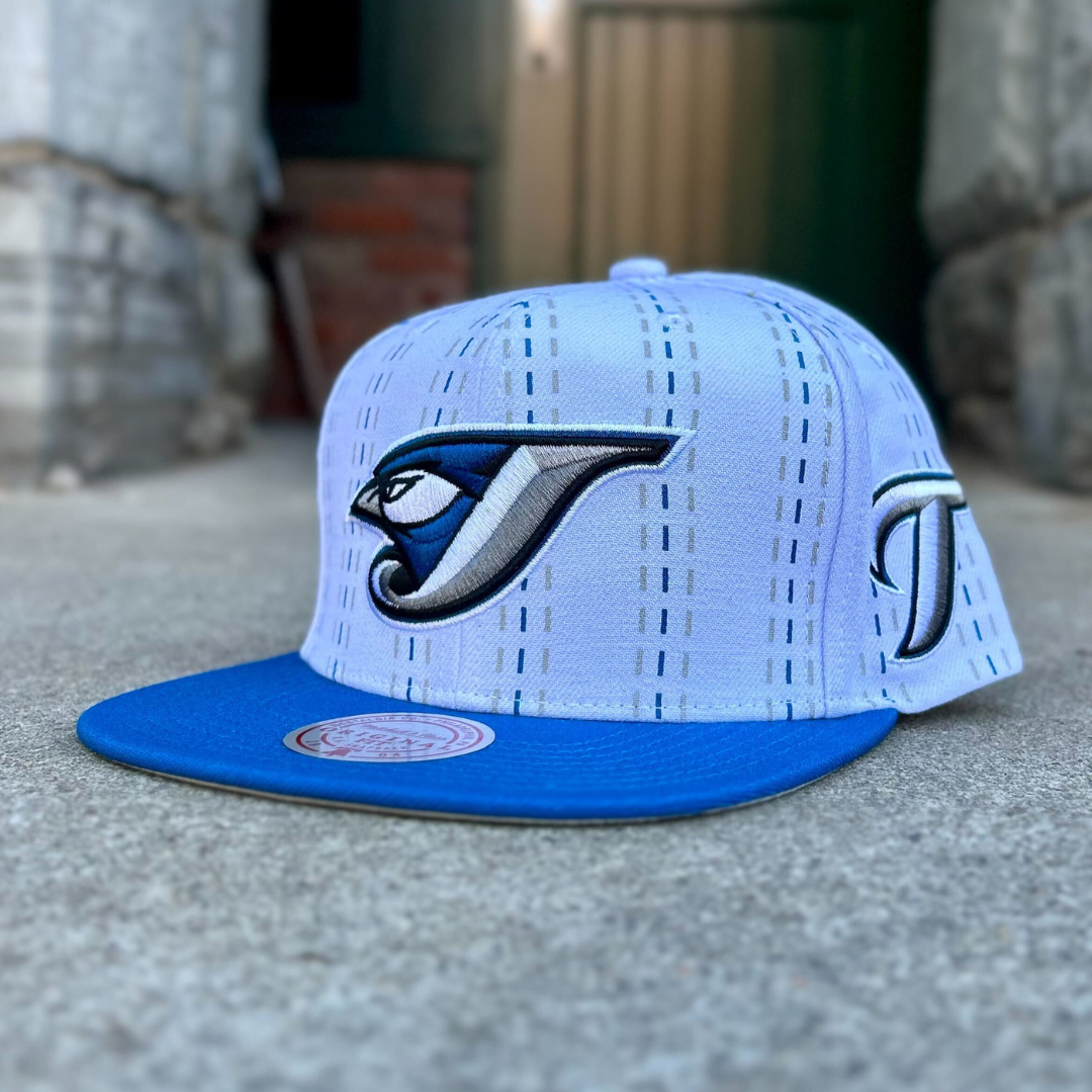 Toronto Blue Jays MLB 2004 Triplin Snapback Cap – The Sport Gallery