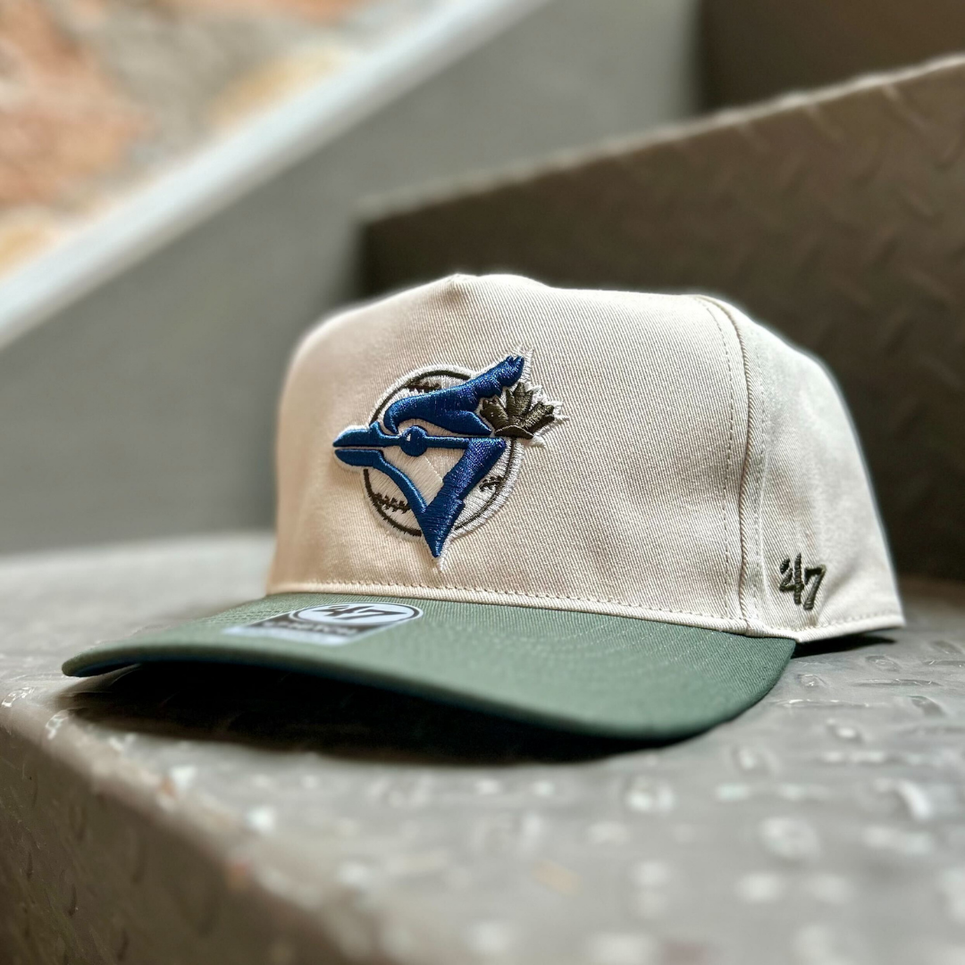 Toronto Blue Jays MLB Tonal Retro Hitch Hat – The Sport Gallery