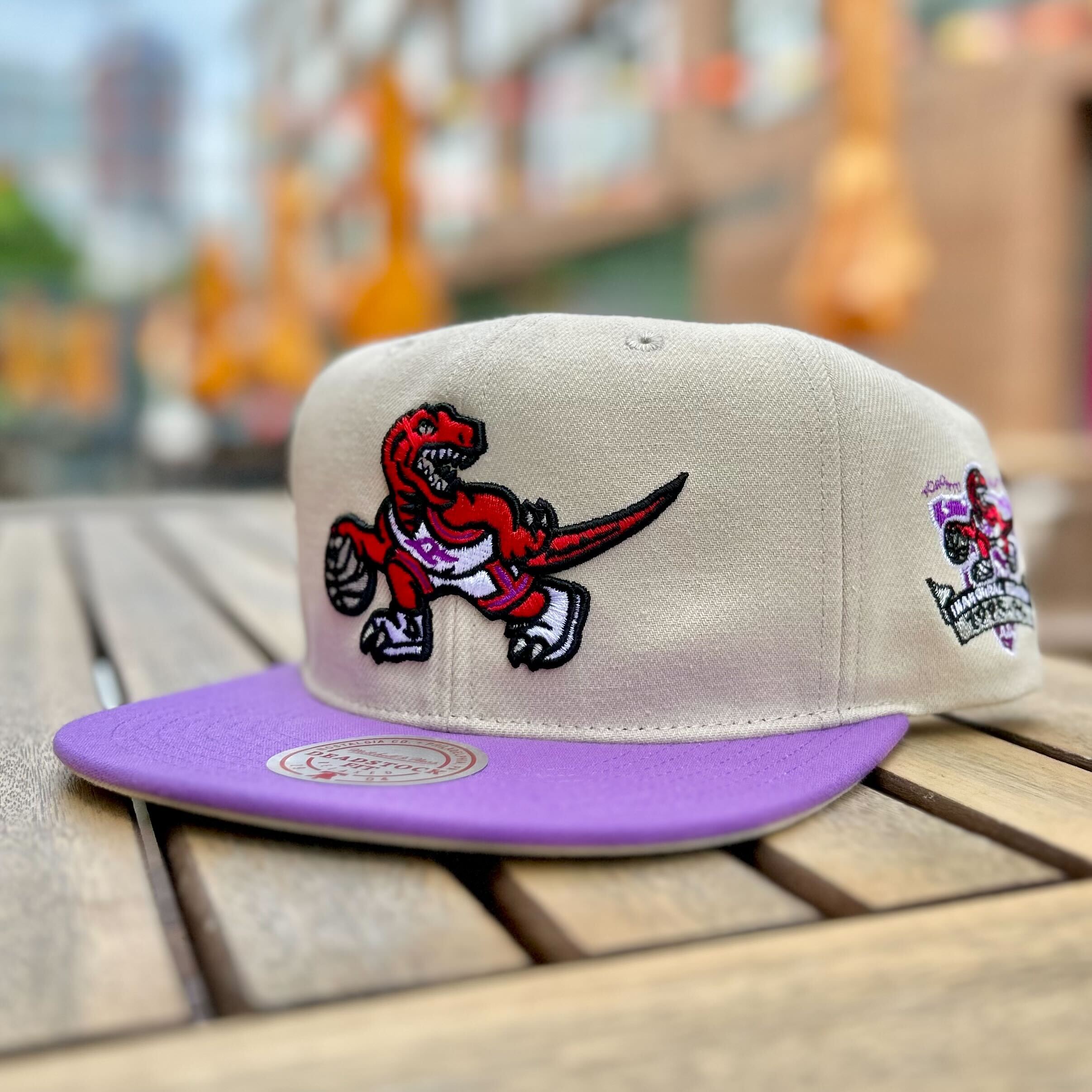 Toronto Raptors Mitchell Ness Deadstock Snapback Hat with