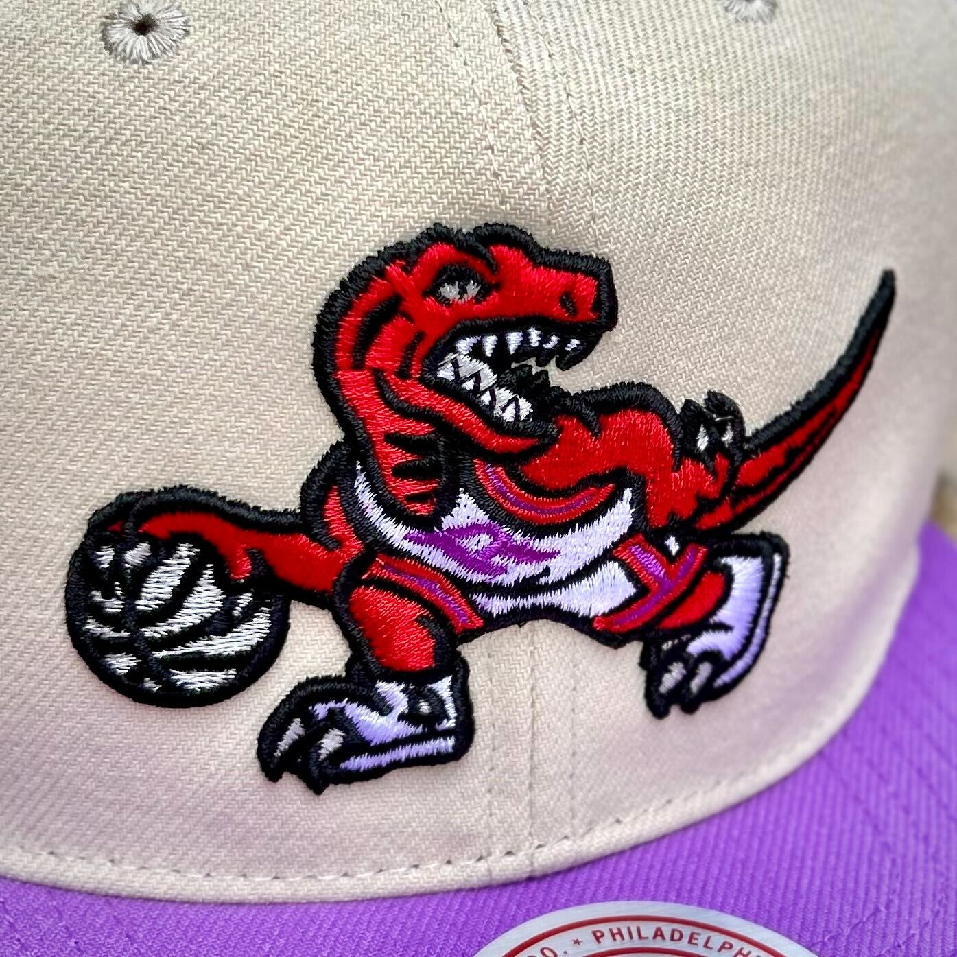 Toronto Raptors Mitchell & Ness Deadstock Snapback Hat with Inaugural ...