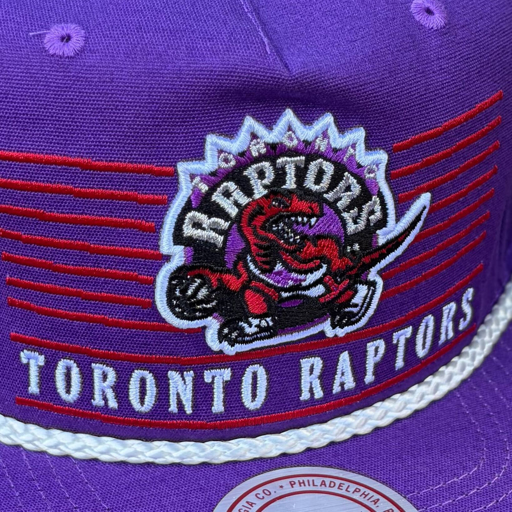 The Best Toronto Raptors Retro Jerseys, Hats, Tees, and Gifts – The ...