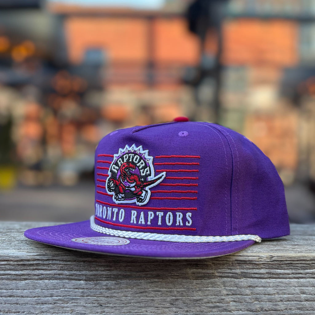 The Best Toronto Raptors Retro Jerseys, Hats, Tees, and Gifts – The ...