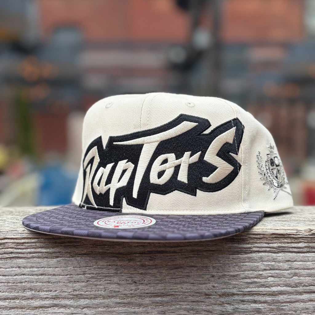 Toronto Raptors Pattern The Best Toronto Raptors Retro Jerseys, Hats, Tees, and Gifts – The ...