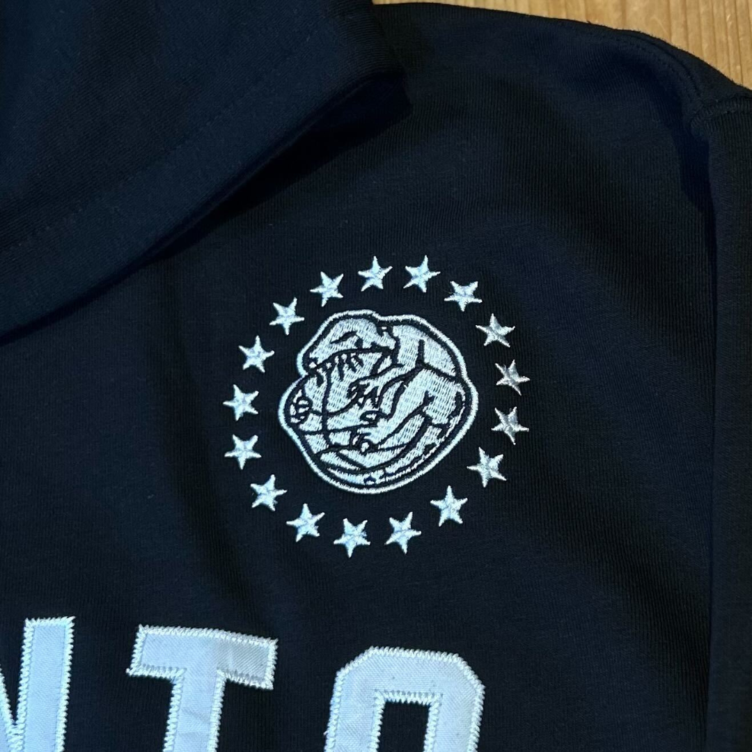 raptors spotlight hoodie