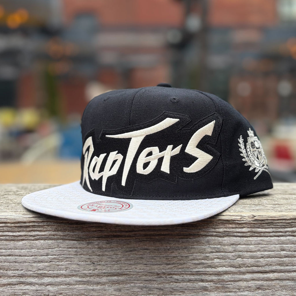 The Best Toronto Raptors Retro Jerseys, Hats, Tees, and Gifts – The ...