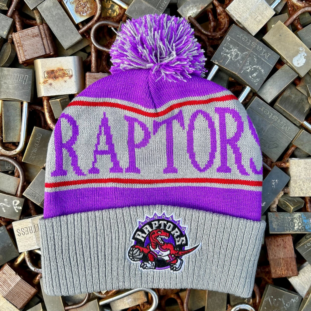 Toronto Raptors NBA Cuffed Pom Knit Toque – The Sport Gallery