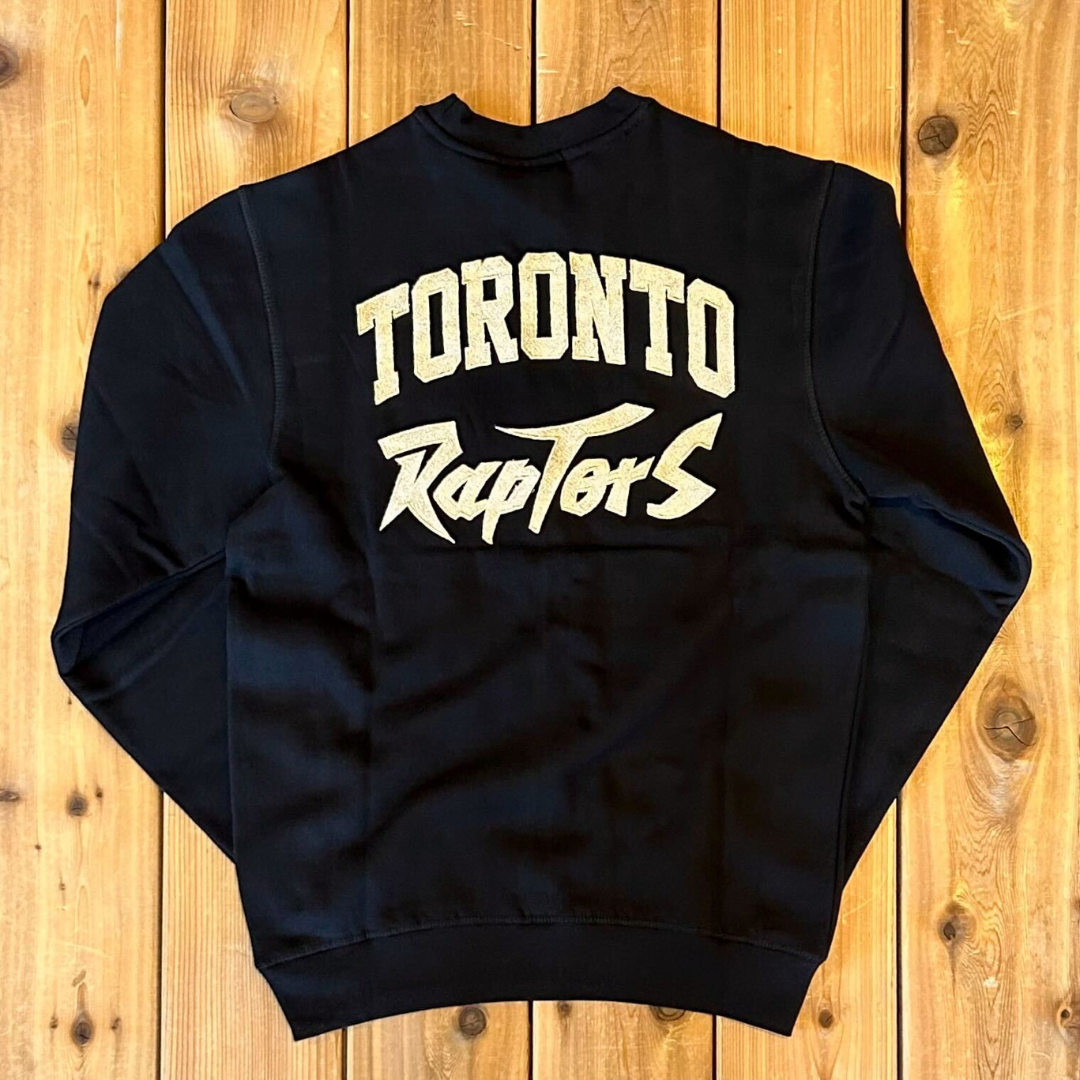 raptors spotlight hoodie