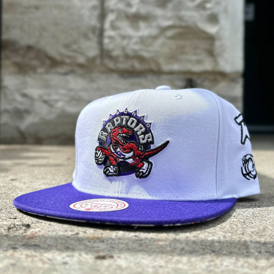 Toronto Raptors NBA Scribbles Snapback The Sport Gallery