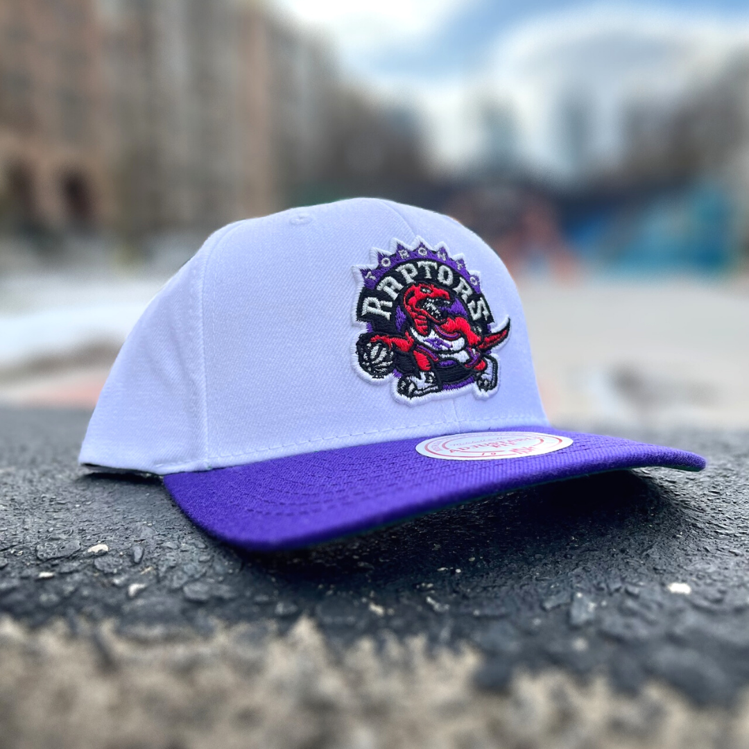 Raptors 2024 nba cap