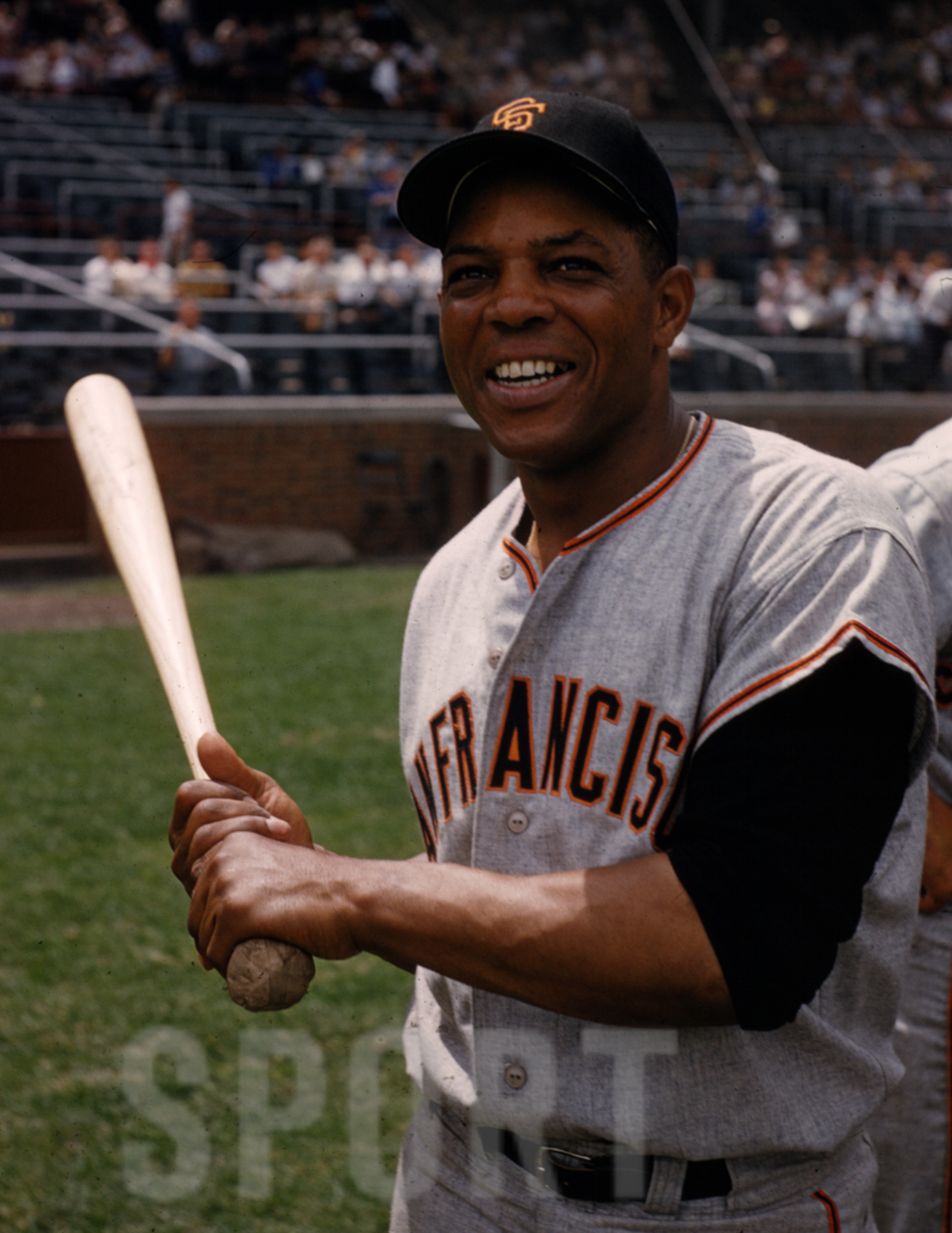 San Francisco Giants – The Sport Gallery